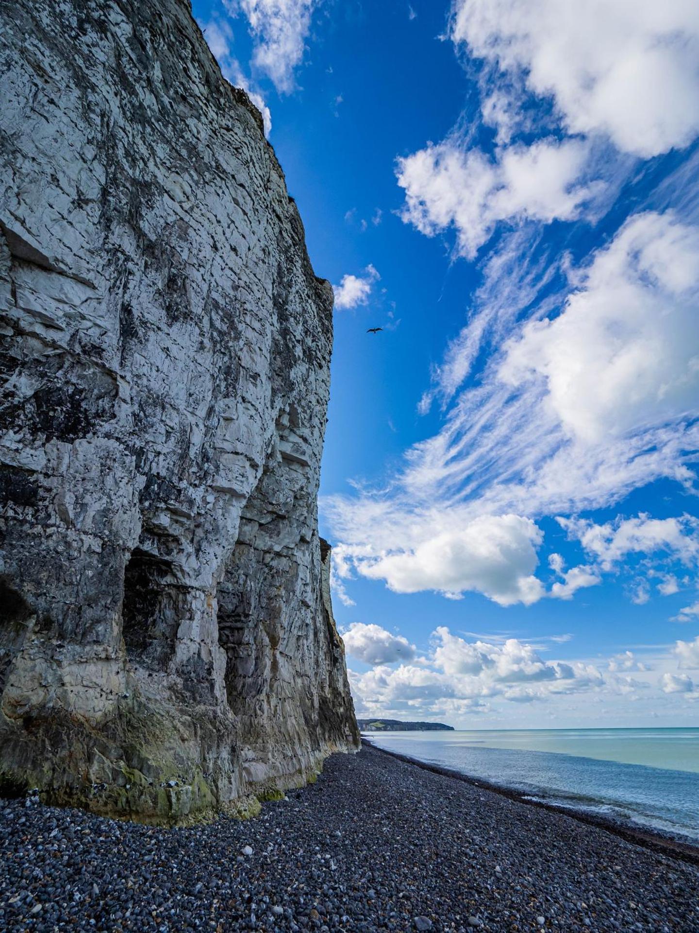 Le Nid Dieppois - Sur Les Quais De Dieppe, Entre Port & Plage Esterno foto